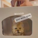 샘펫스튜디오 이미지