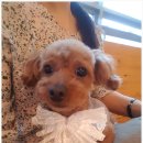 개토피아 이미지