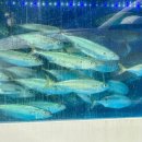 만선식당 이미지