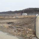 살미면사무소 이미지