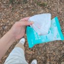 ㈜더라임 | 휴대용 물티슈 여름 등산 준비물 크리넥스 쿨링물티슈 라임민트