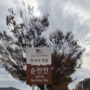 순천만생태펜션 | 순천만습지 갈대 용산전망대 가는길