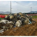 명선리사이클링 이미지