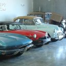 카스토어 이미지