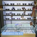 관저스위스안경원 이미지