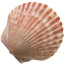 아트인네이처미술학원 이미지