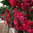 정커피숍 - 남동구 석산로 56 | 정커피숍