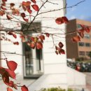 오산대유치원 이미지