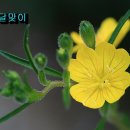 두메산골농원