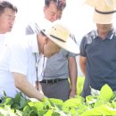 영농조합법인 대청 이미지