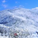전남유리