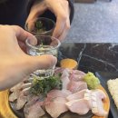 대구대로L | 대구종로맛집 '바다와' 고등어보다 쫄깃한 전갱이회 &amp; 대방어 꿀조합! (대구맛집/동성로횟집)