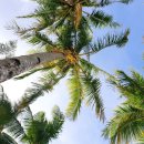 [보라카이여행/드보라] 9월28일 보라카이 날씨_맘껏 즐겨보쟈🤗 이미지