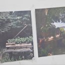 초등 창의미술 이미지