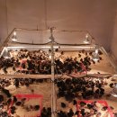 청리농장 이미지