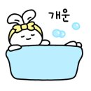 가톨릭관동대학교 실내테니스장