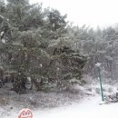 토월펜션 이미지