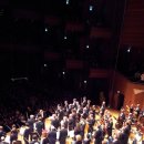 숲속파도소리 이미지