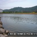 향토마을 Daum카페