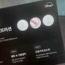 일상비일상 | 강남역 팝업 디즈니플러스 드라마 조명가게 체험 후기 (일상비일상의틈)