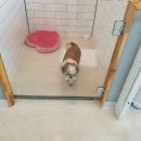 제이그루밍 이미지