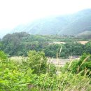 마당발부동산 공인중개사사무소 이미지