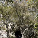 선운산호텔 | 고창 선운산 도립공원 등산코스, 고창 선운산 단풍, 알레(Alle) 버스 후기