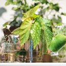 봉곡동343 이미지