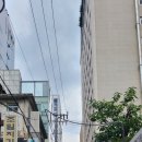 트레블로지 명동 남산 이미지