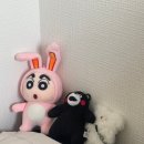 [오사카 워홀 D+1] 나도 이제 오사카 주민! _가전렌탈/주소등록/휴대폰개통/생필품 구입