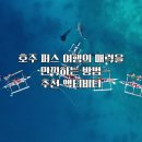 호주 퍼스 여행의 매력을 만끽하는 방법 추천 액티비티