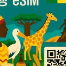🇸🇳 세네갈 여행 준비물: 핑크 호수 가는 법, 90일 무비자, 필수 택시 앱 '양고(Yango)', 졸로프 라이스...