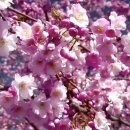 계명슈퍼 이미지