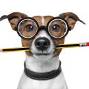 반려동물관리사자격증 이미지