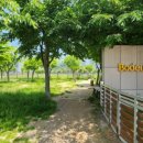 주식회사 보듬컴퍼니 이미지