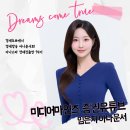 미디어 마인즈