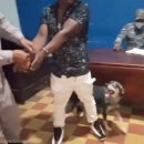 강아지 공화국 이미지