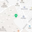 Elysia(엘리시아) 헤어
