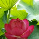 성포(여) 이미지