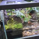 숲속작은개울 이미지