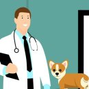 대구가축병원 이미지