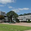 우수영5일시장 이미지