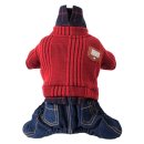 댄디애견 이미지