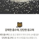 감자(GAMJA) 이미지