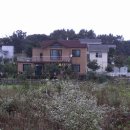 장진천길 이미지