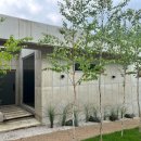 스테이 봄 이미지