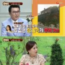 호박담 이미지