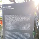 조선의 궁_창경궁 (광장시장, 그리고 광화문광장)