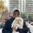 [파주 애견 카페] 글램독 그라운드 파주점 방문 후기