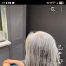 백모열펌기대된다 이미지